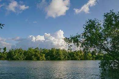 政府资金投入助力威尔士青训体系建设，威尔士2022